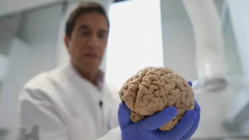 طرق عملية لـ"إعادة تشغيل الدماغ"