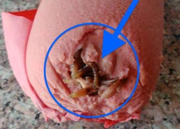 شوفو آش كتاكلو : العثور على ديدان كثيفة وسط علبة مادة " الكاشير "