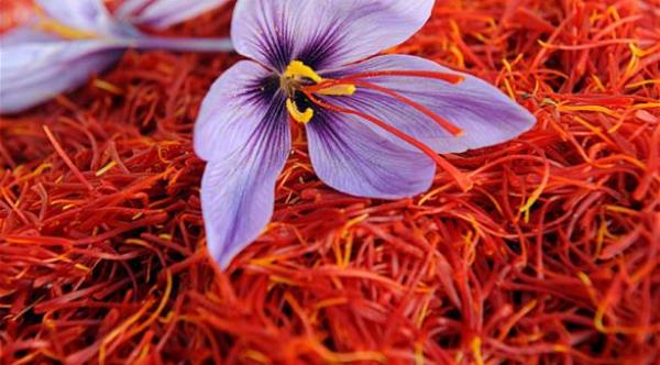 هل يفتّح الزعفران لون البشرة؟