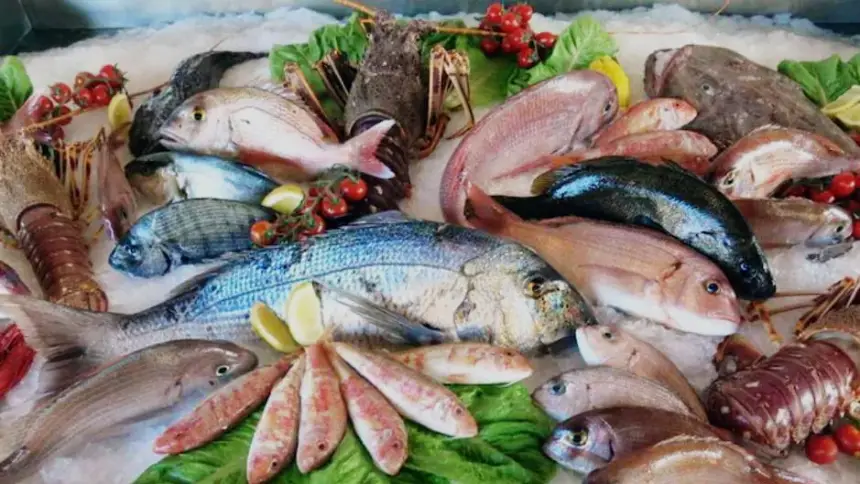 قبل أيام من رمضان.. استمرار ارتفاع أسعار الأسماك يثير قلق المغاربة