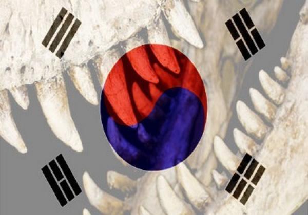 اكتشاف أضخم آثار أسنان ديناصورات 