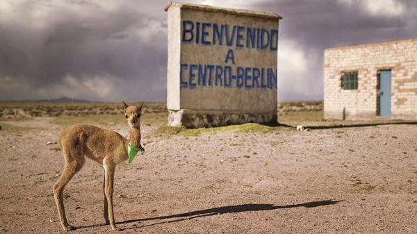 يخلق من الشبه 40 .. ومن برلين أكثر من 100!