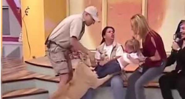 بالفيديو.. أسد يهاجم رضيعة خلال برنامج تلفزيوني مباشر