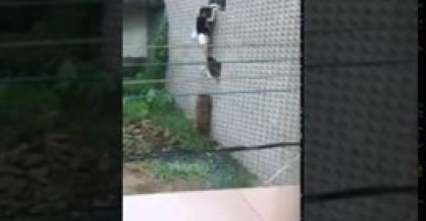 بالفيديو.. سقوط مؤلم لفتاة حاولت التسلل لمقابلة ابن الجيران