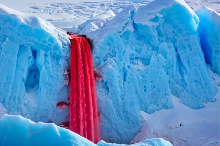 شلال الدم في أنتاركتيكا.. لغز أحمر يتدفق من قلب الجليد