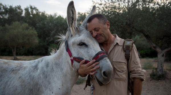 جلسات علاج بـ"الحمير" للطواقم الطبية في إسبانيا لتخفيف اضطرابات كورونا (فيديو)