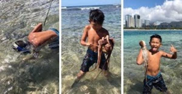 بالفيديو.. طفل يصطاد أخطبوطا ويقتله عن طريق عضه