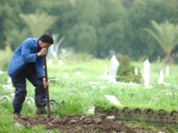 الصورة من الأرشيف