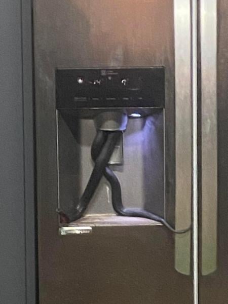 لحظة خروج ثعبان من موزع مياه الثلاجة(فيديو)