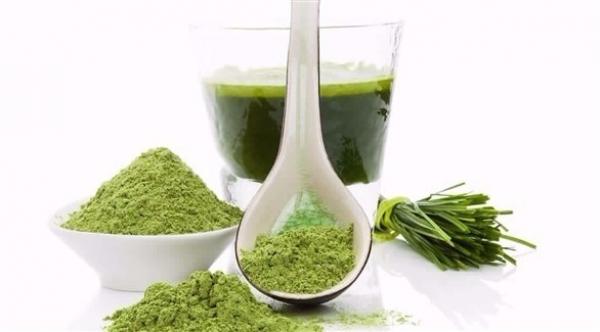 عشبة القمح.. سر الصحة والجمال