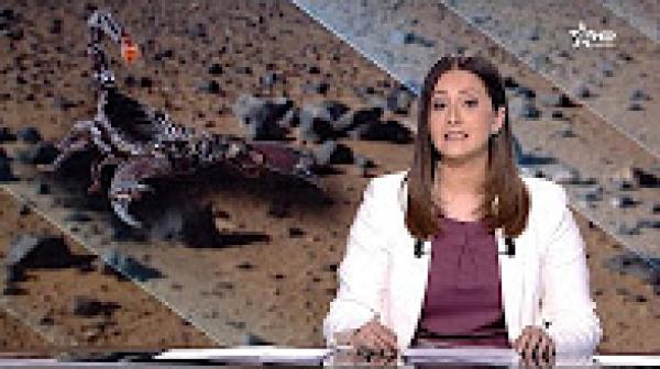 معاناة الساكنة القروية مع لسعات العقارب في الصيف