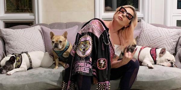 المغنية "ليدي غاغا" تخصص مكافأة نصف مليون دولار لمن يعثر على كلبيها(فيديو)