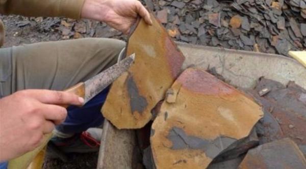 العثور على حفريات بحرية جنوبي المغرب عمرها 500 مليون عام