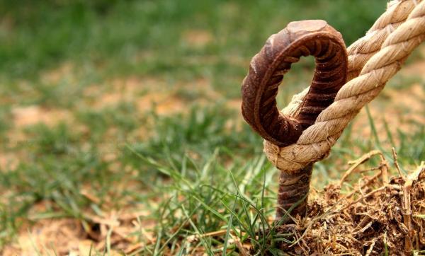 خطير... مغربي يعمل بايطاليا يعتدي على زوجته ب"وتد" والدرك الملكي يصدر مذكرة بحث للقبض عليه 