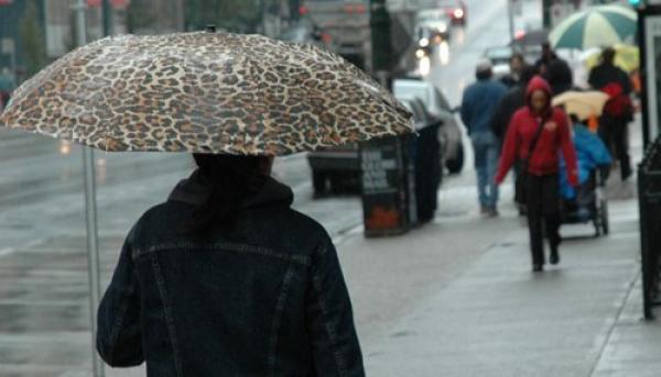 استمرار الجو البارد وتساقطات مطرية منتظرة اليوم بهذه المناطق