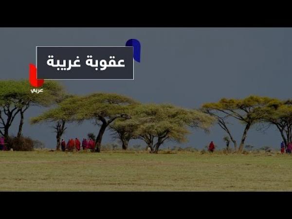 غريب.. شاب أهان والدته وهكذا عاقبته نساء القرية