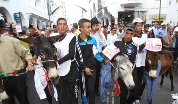 يتيم : لم نشارك في مسيرات النقابات الأخرى لأنها كانت "عامرة حمير"