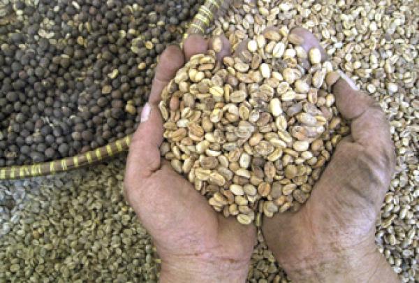  هشاشة الامن الغذائي و مخاطره على الامن العام