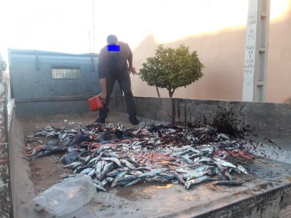السلطات المحلية بقصبة تادلة تباغت أصحاب السمك و تحجز كميات من الأسماك الفاسدة