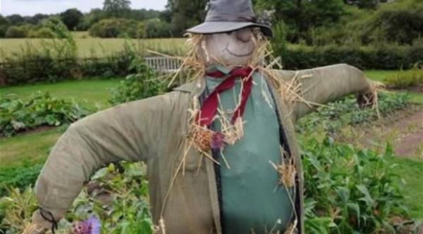 بالصور: هذه هي أغرب 10 وظائف في العالم