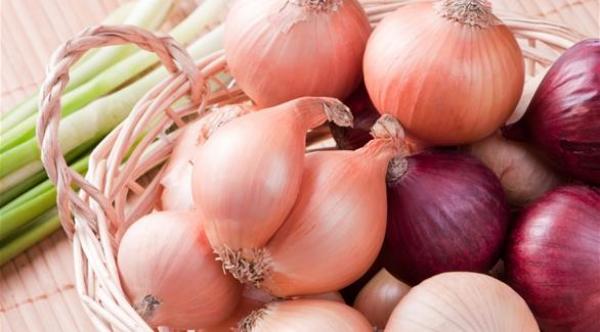  استبدل الباحثون السيليوز بخلايا من البصل 