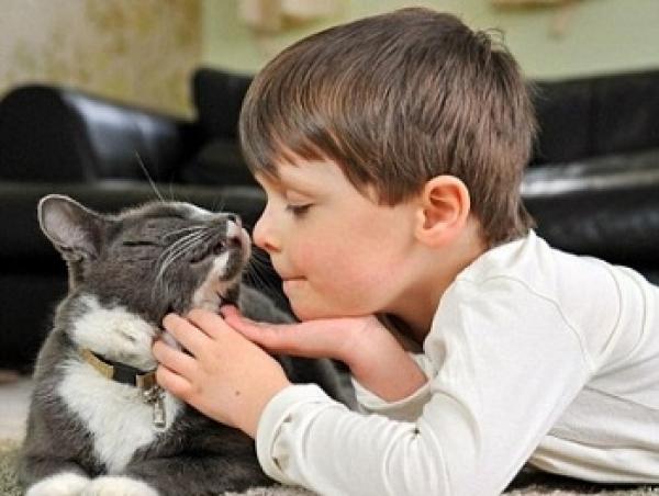 5 أمراض يسببها اقتناء الحيوانات الأليفة