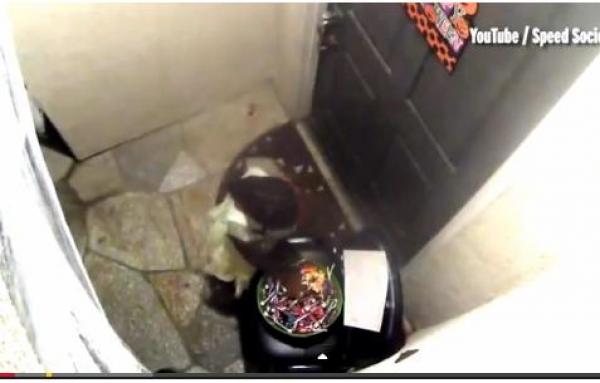 بالفيديو: شاهد مدى جشع هذا الرجل