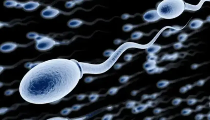 زرع الخلايا الجذعية يعيد الأمل لرجال فقدوا خصوبتهم