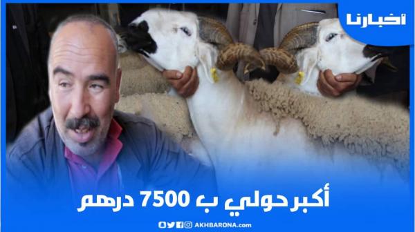 فلاح: هذا سبب غلاء المواشي هذه السنة والمواطن بلا ميتقلق الخير موجود