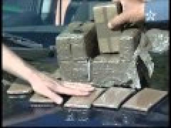 حجز1275 كلغ حشيش بوجدة