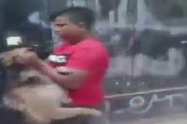 مراهق يهزم كلبا متوحشا!