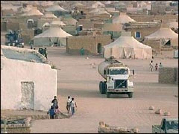 الشباب الصحراويون يستعدون لانتفاضة جديدة في المخيمات اليوم السبت