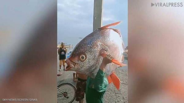 فيديو لفلبيني اصطاد سمكة عملاقة