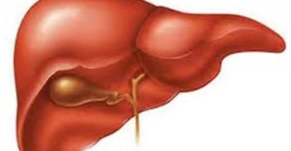 5 أطعمة تساعد على تنظيف الكبد وطرد السموم المتحجرة