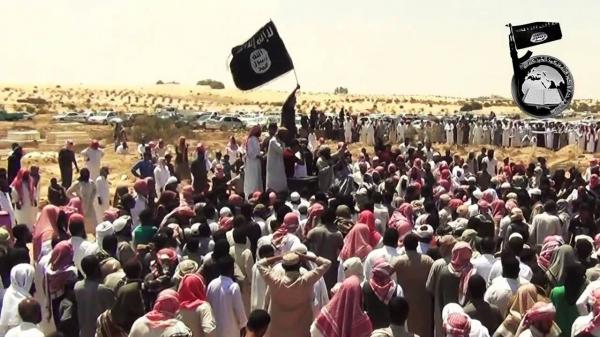 مصر: إحالة أوراق 11 متهما فى "أنصار بيت المقدس" للمفتي