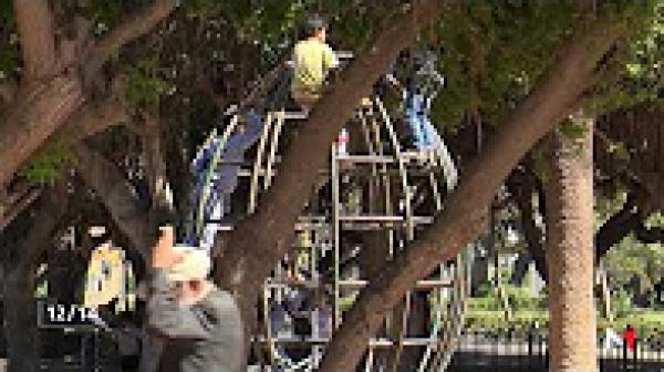 إطلاق مشروع بيئي بسبب ندرة المناطق الخضراء بالدار البيضاء