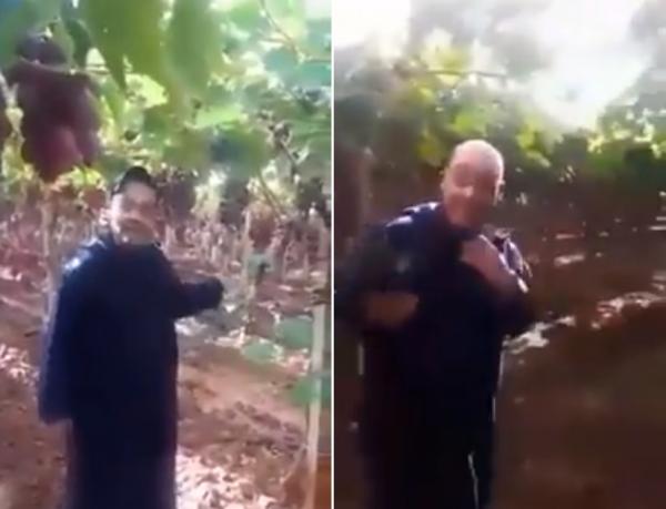 صاحب مزرعة متضرر من إضراب الشاحنات: العنب بدا كيفسد وأنا غنمشي للحبس شوفو لينا شي حل