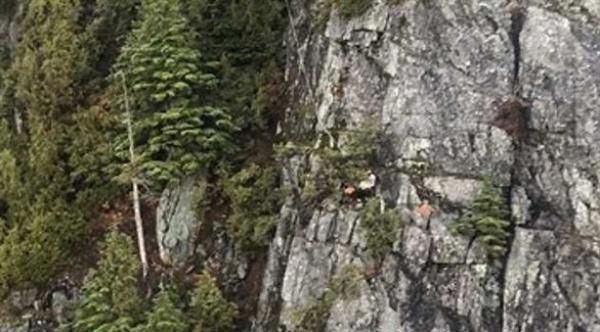 تبع إرشادات هاتفه.. فعلق على جرف صخري