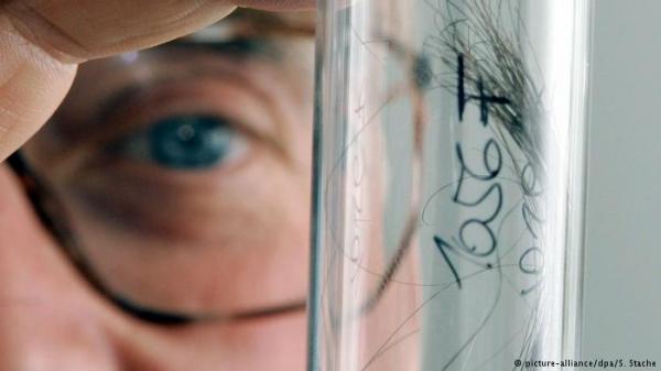 الشعر قد يكشف عن تفاصيل شكل الإنسان وحياته