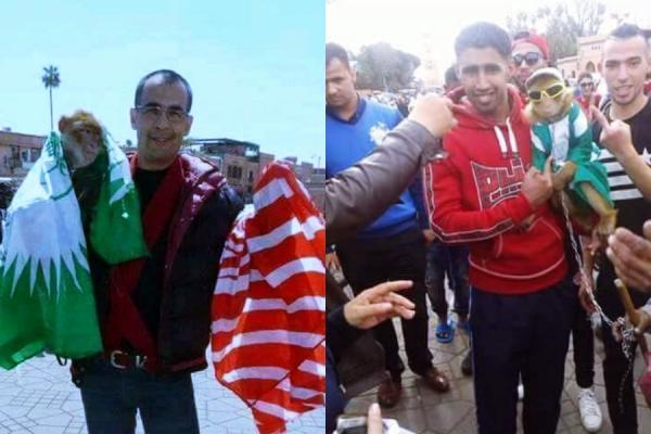 من هنا يبدأ الشغب : وداديون بـ " جامع لفنا " يستفزون انصار الرجاء بصور حاطة جدا