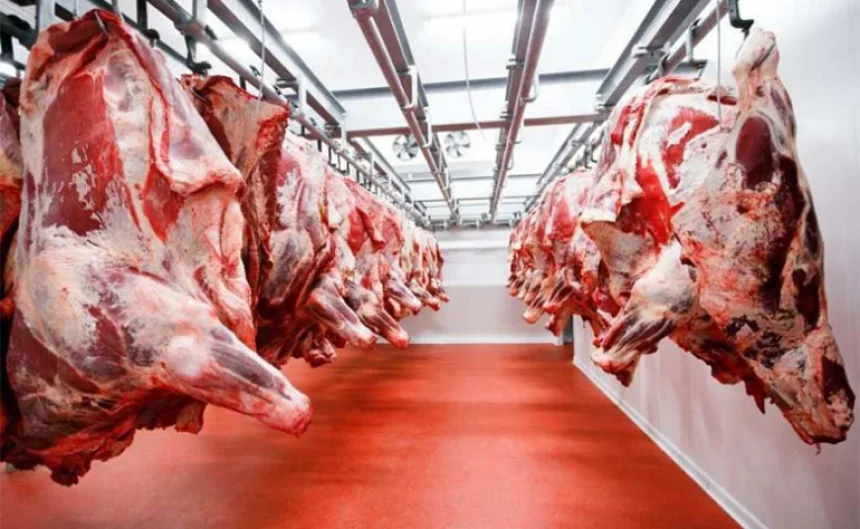 مغاربة في حيرة.. ما سر استمرار غلاء اللحوم الحمراء رغم انخفاض أسعار المواشي؟