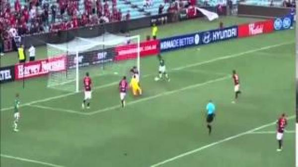 6 إجراءات بسيطة لتحسين الهضم وتقليل الغازات