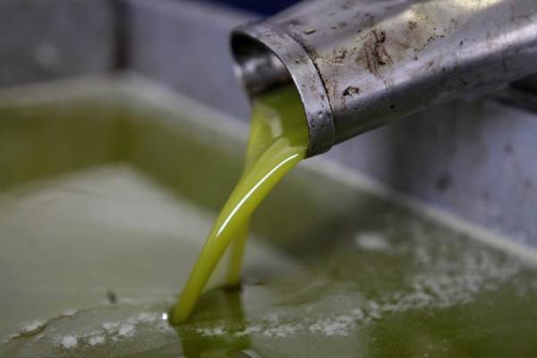 نهاية مأساوية لشاب بعد سقوطه داخل حوض لزيت الزيتون بمدينة تاونات