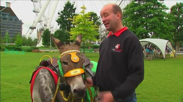 عاشق حمير بريطاني يلجأ للتكنولوجيا لترجمة نهيقها