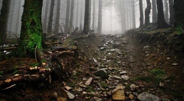 تحذيرات من استخدام خرائط غوغل لهذا السبب