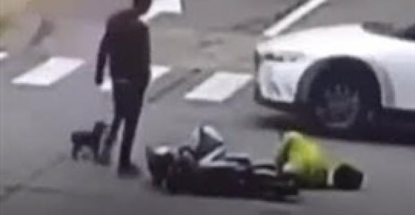 بالفيديو.. كلب يطارد سيارة صدمت صاحبته على الطريق