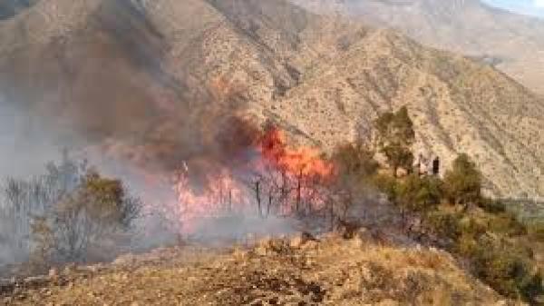 بعد منطقة الشمال، مستجدات حرائق غابات تارودانت بالجنوب