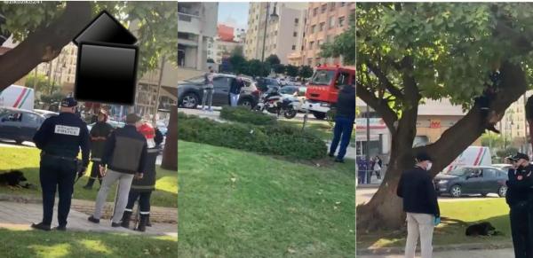 الأمن يكشف حقيقة فيديو انتحار أستاذ متعاقد بالشارع العام