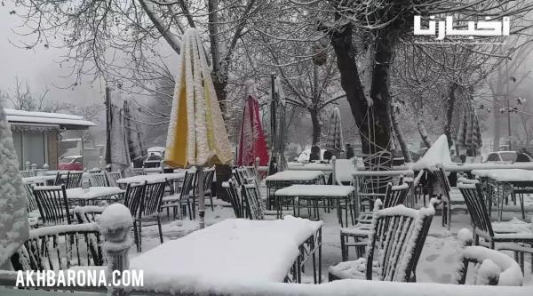 إفران تكتسي حلة بيضاء بهية بعد تساقط كثيف للثلوج