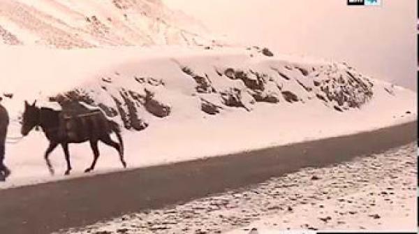 سكان الجبال يكسرون العزلة بـ "الدواب" بعد قطع الثلوج لطرق السيارات